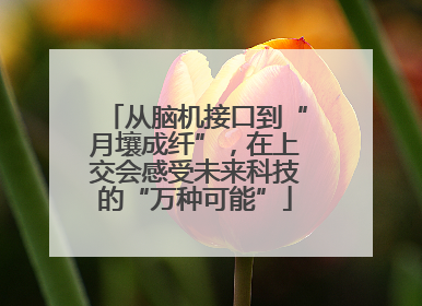 从脑机接口到“月壤成纤”，在上交会感受未来科技的“万种可能”